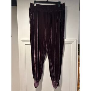 Time and Tru Velvet Jogger Pants